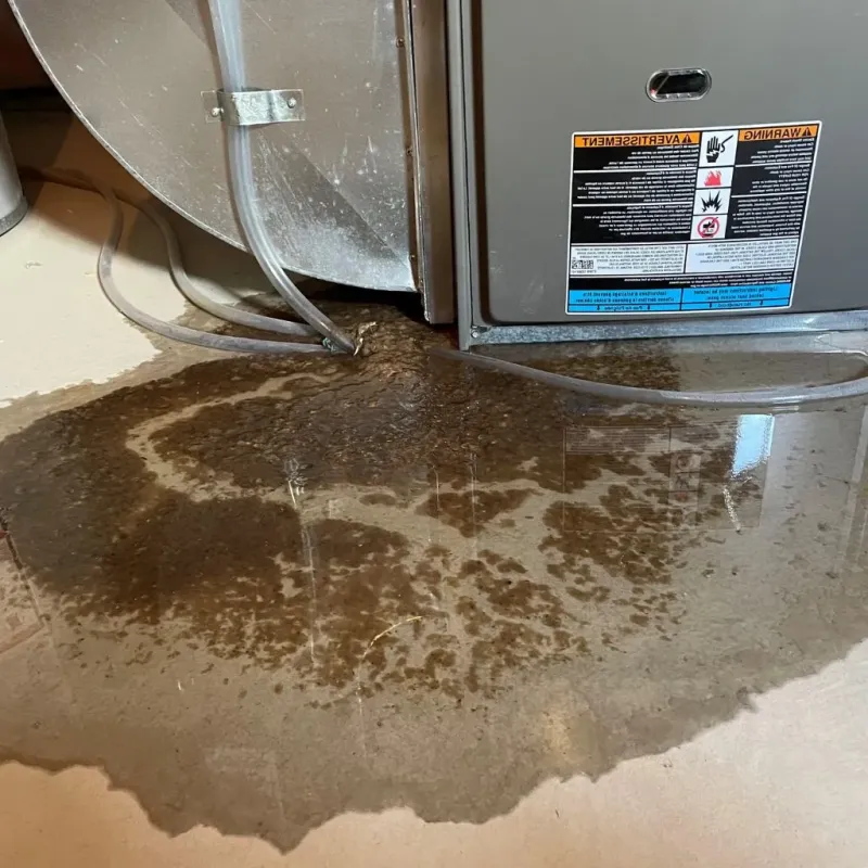 Pipe Burst and Leak Restoration in Bon Homme County, SD